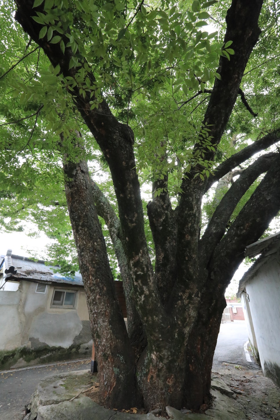 광산여관 이미지