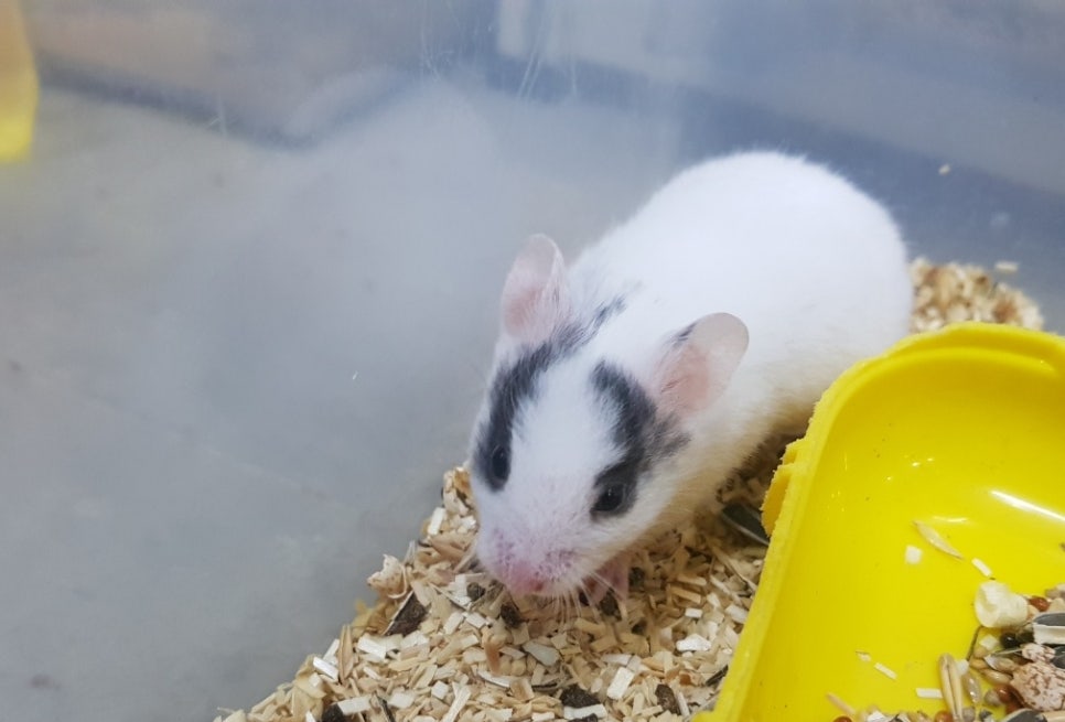(주)모프 이미지