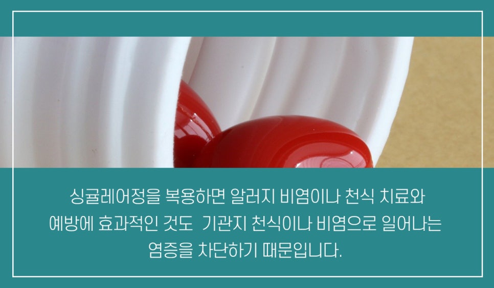 (주)트리엔 이미지
