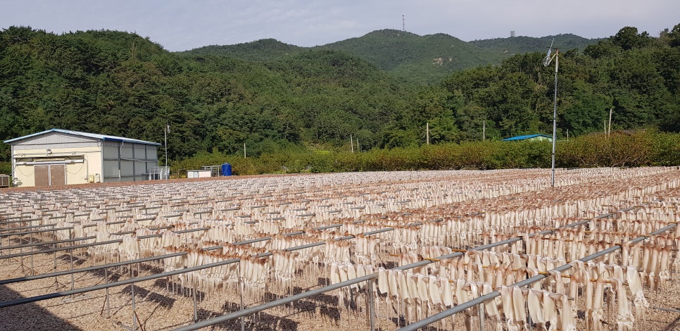 천해수산 이미지