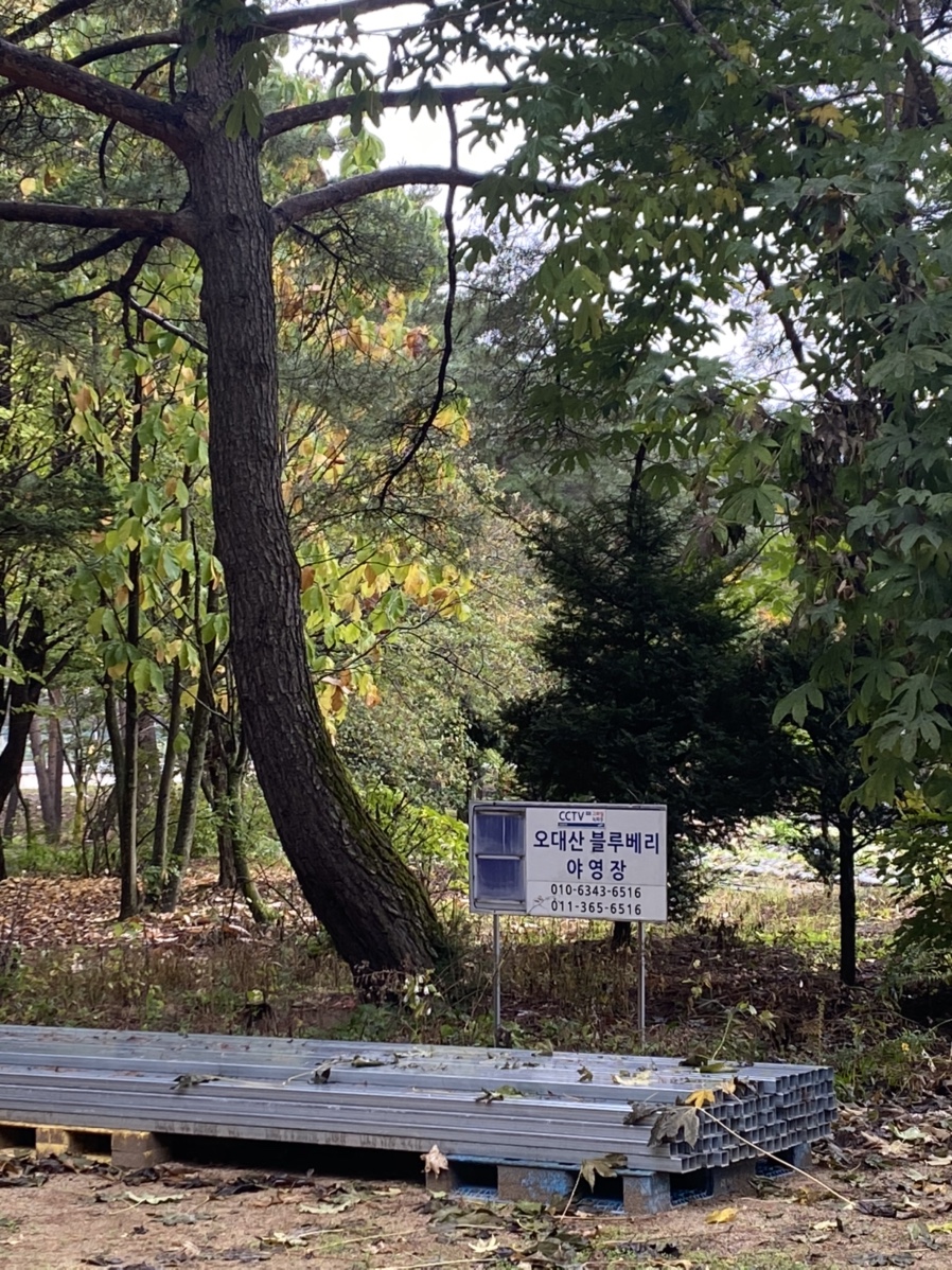 진부관광농원오대산 이미지