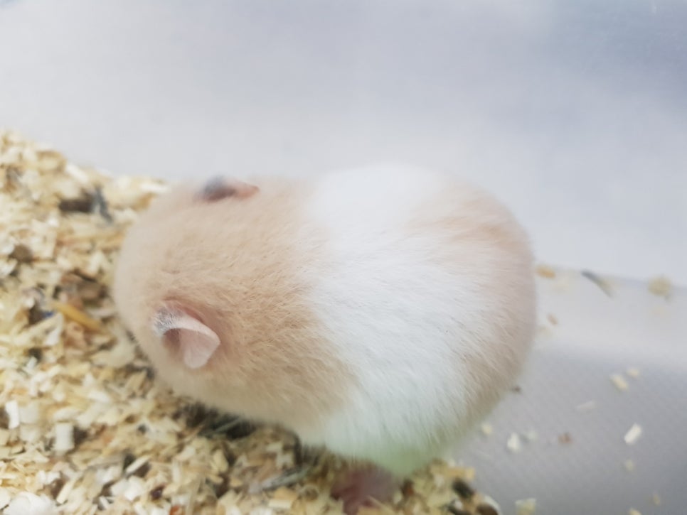 (주)모프 이미지