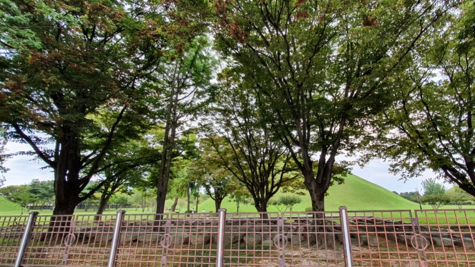 광명마을(신경주) 이미지