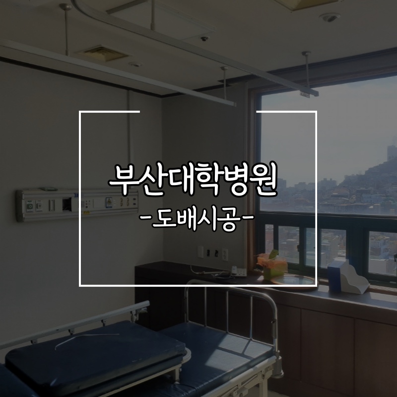 대동장식 이미지