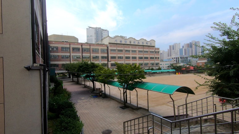 솔샘숲어린이집 이미지