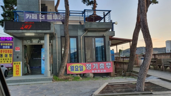 월랑쭈꾸미아산 이미지