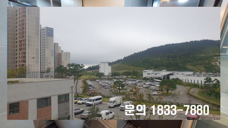 남부커피호프 이미지