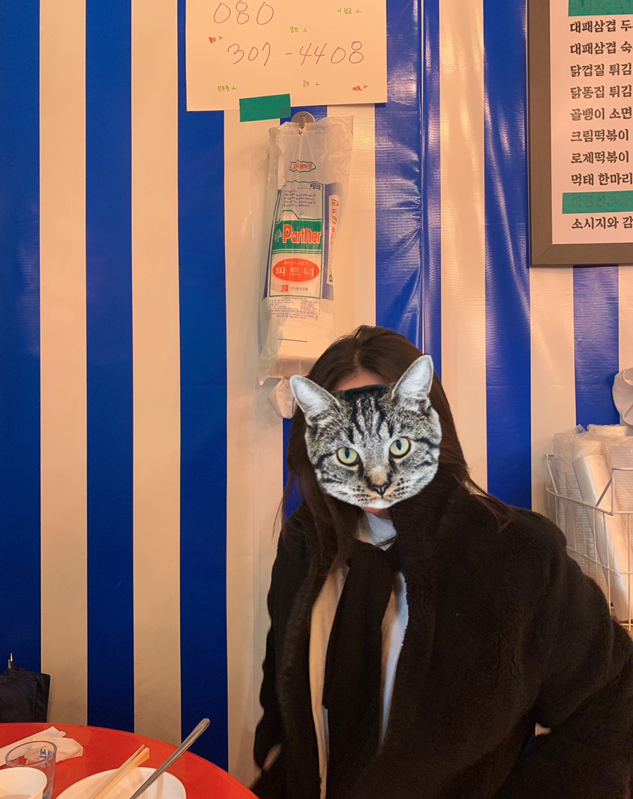 펭귄상회 이미지