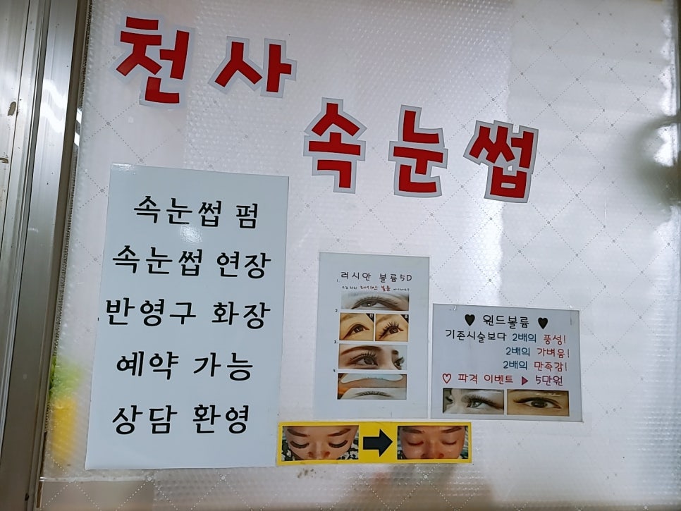 천사속눈썹 이미지