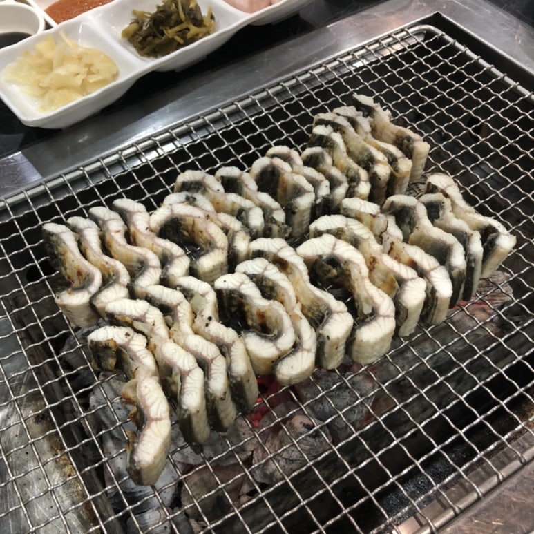 가곡동민물장어 사진 4