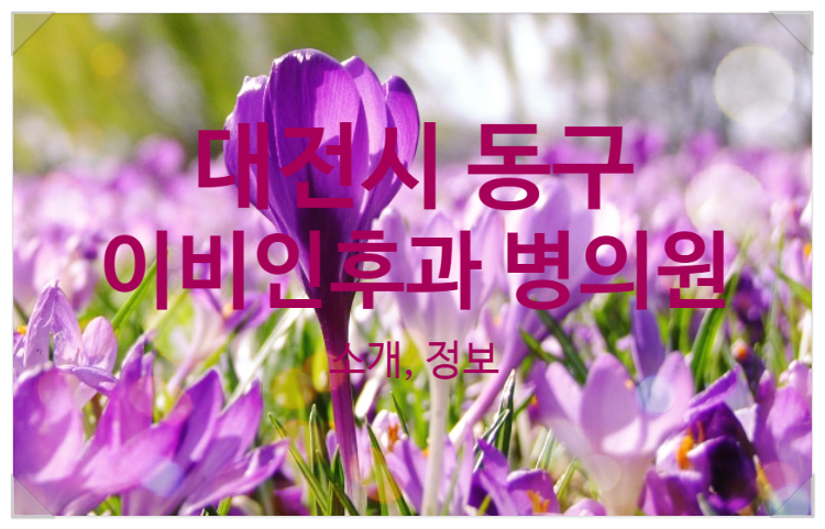 김영내과의원 이미지