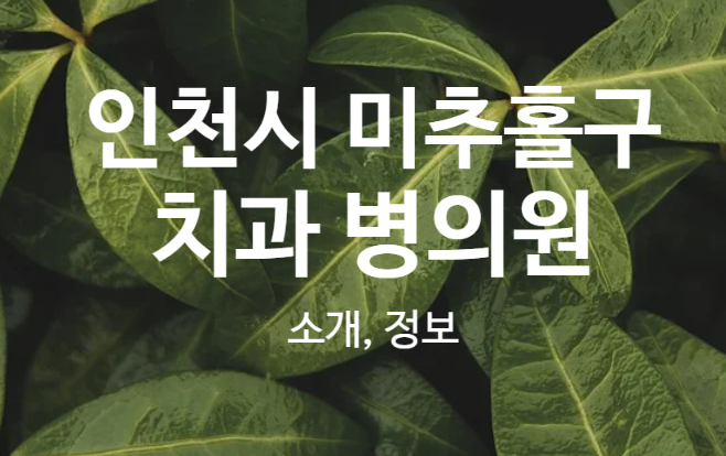 지디스치과의원 이미지