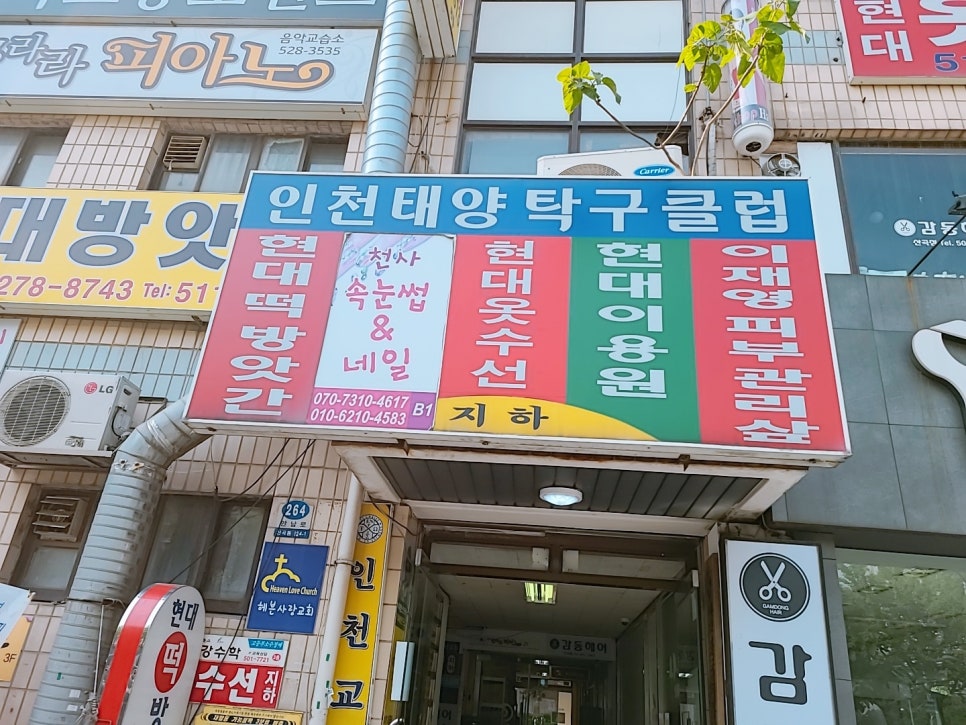 천사속눈썹 이미지