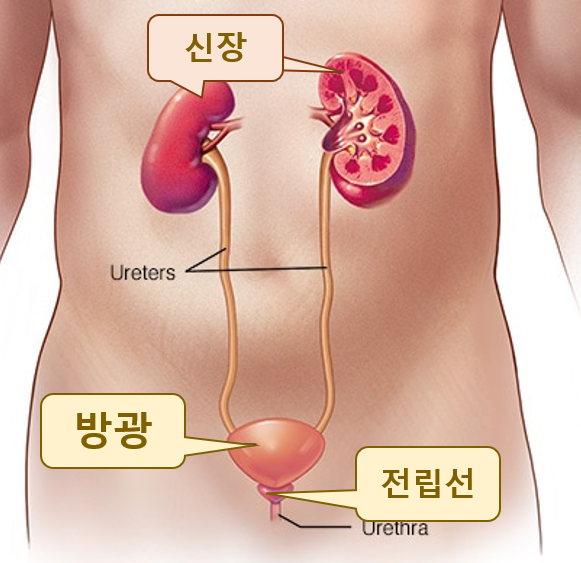 하이닥터 이미지