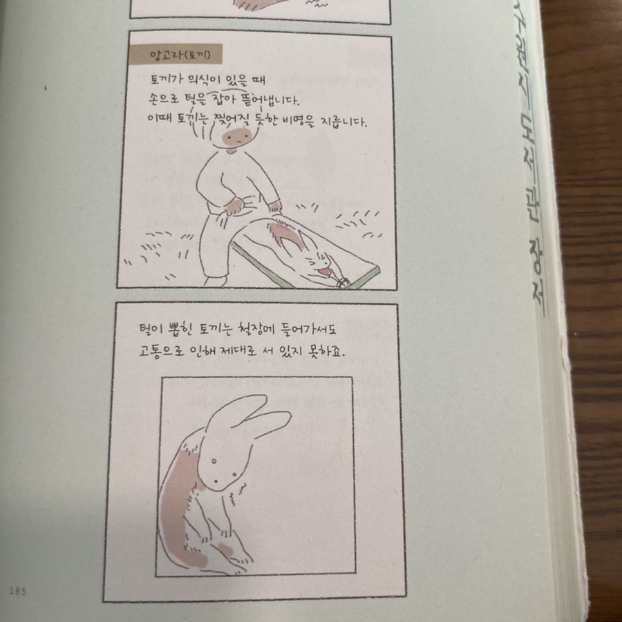 오늘부터;비건 이미지