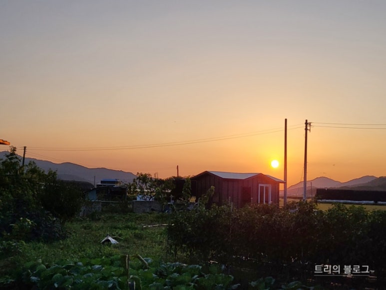 대산수산 이미지