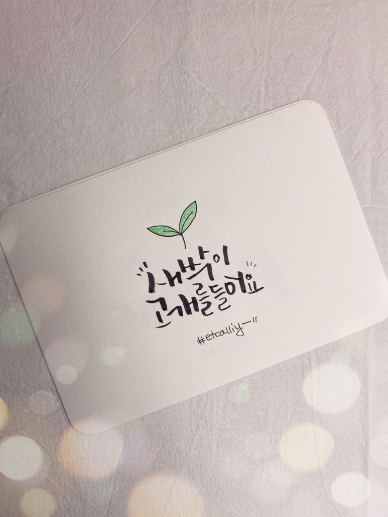 새싹문구 이미지
