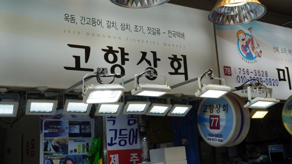 성도상회 이미지