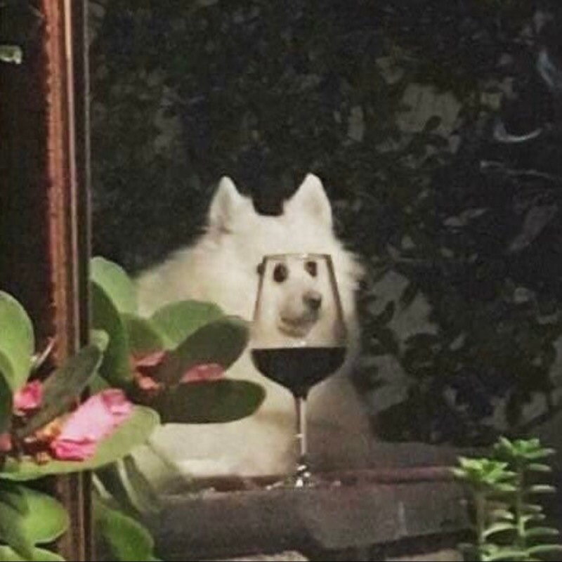 카페까미노 이미지