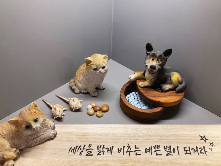 카페바라기 이미지