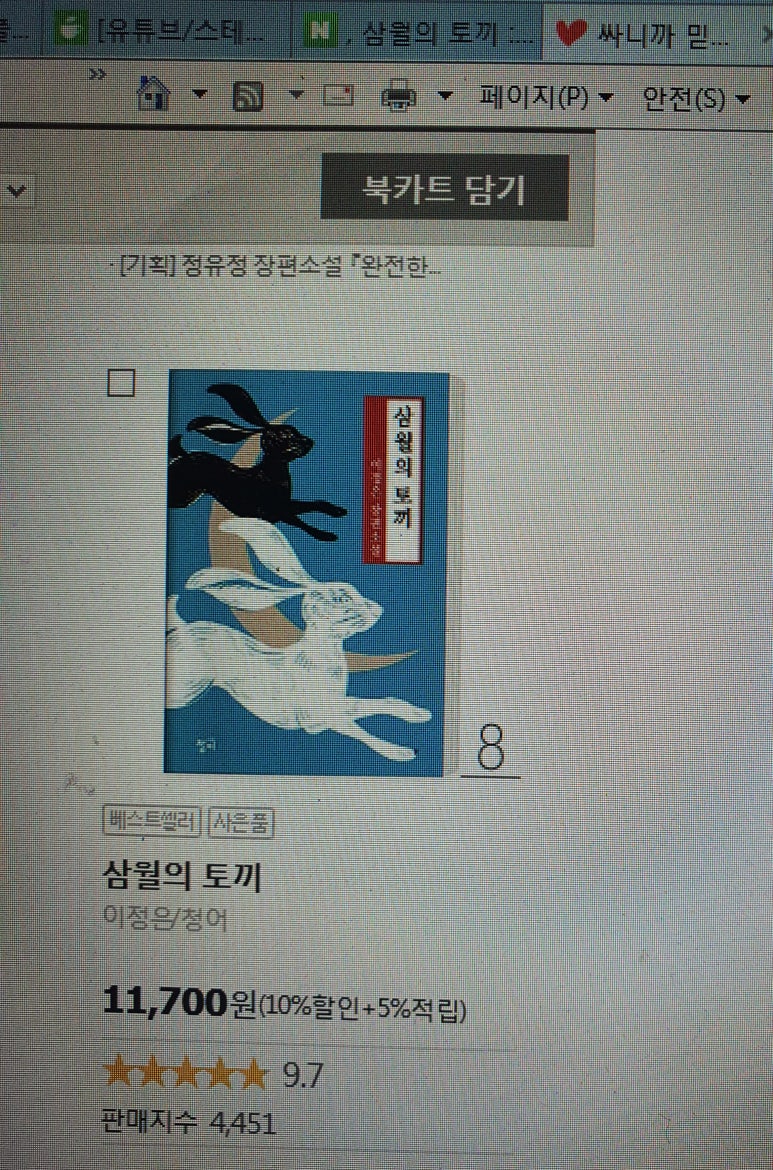 삼월의토끼 이미지