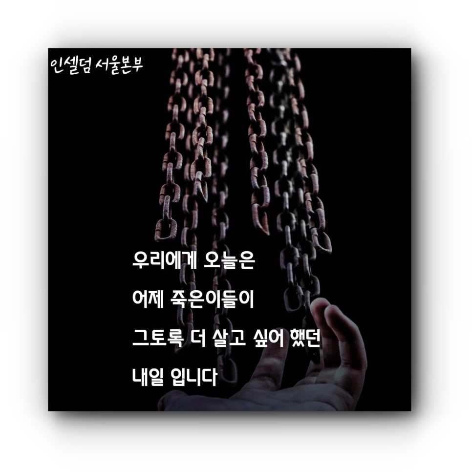 인셀덤뷰티 이미지