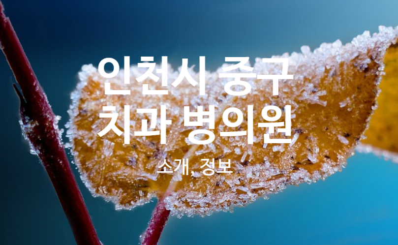 연세굿모닝치과의원 이미지