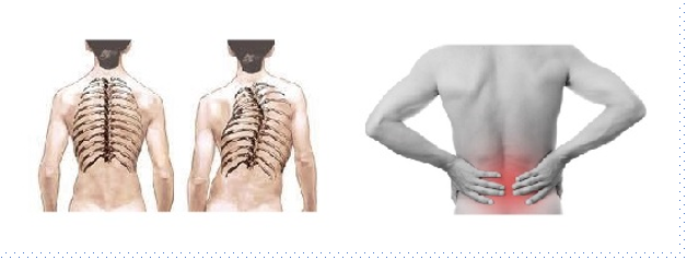 새숨병원 이미지