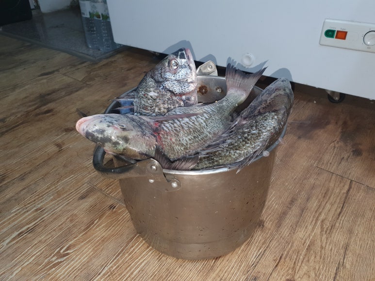 뜨라래 이미지