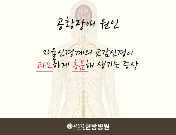 왕조걸한방병원 이미지