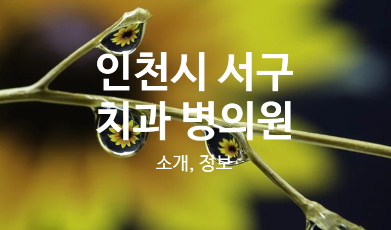 모드니치과의원 이미지