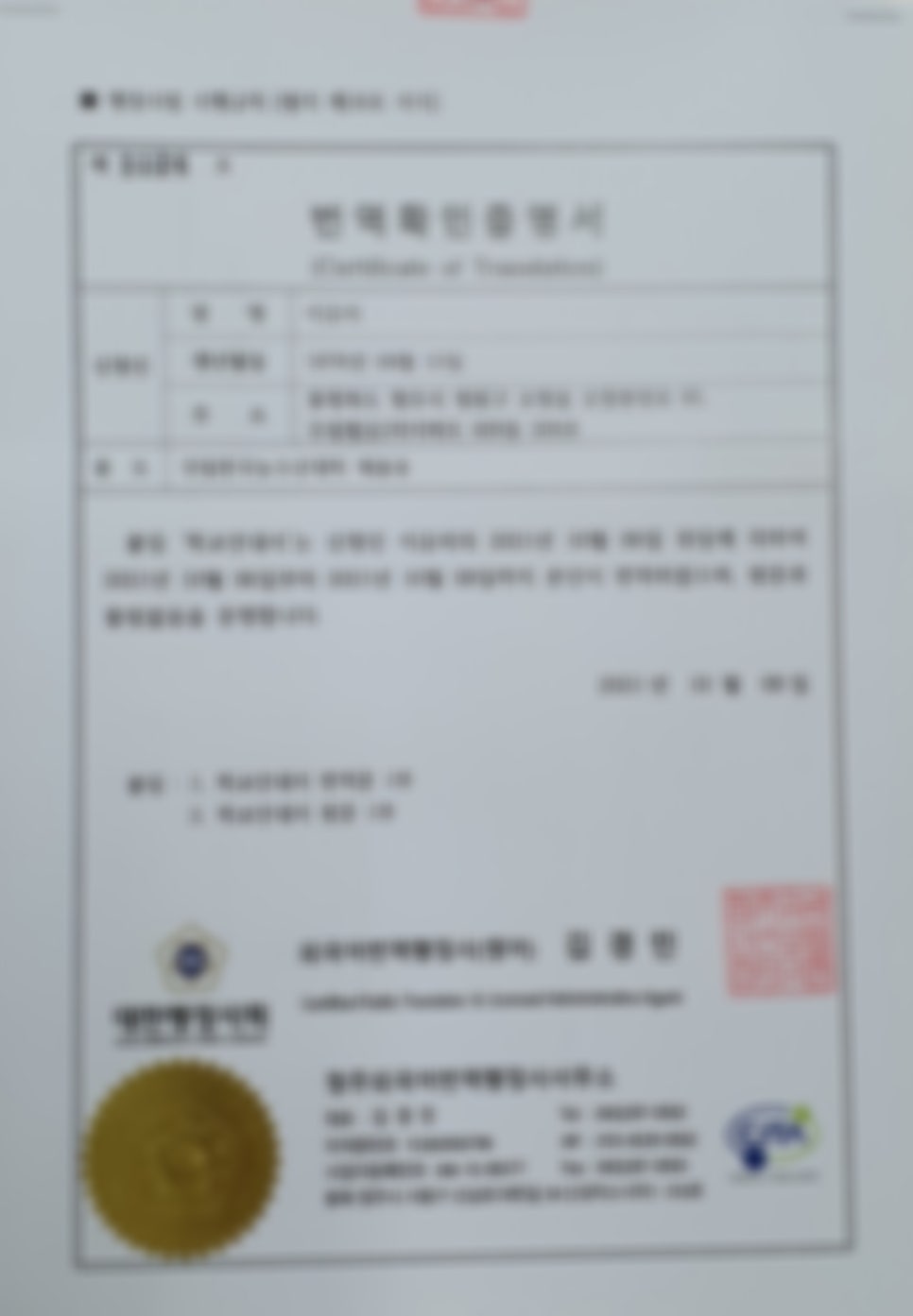 세종번역 이미지