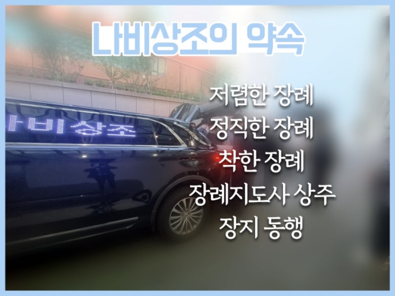 나비상조 이미지