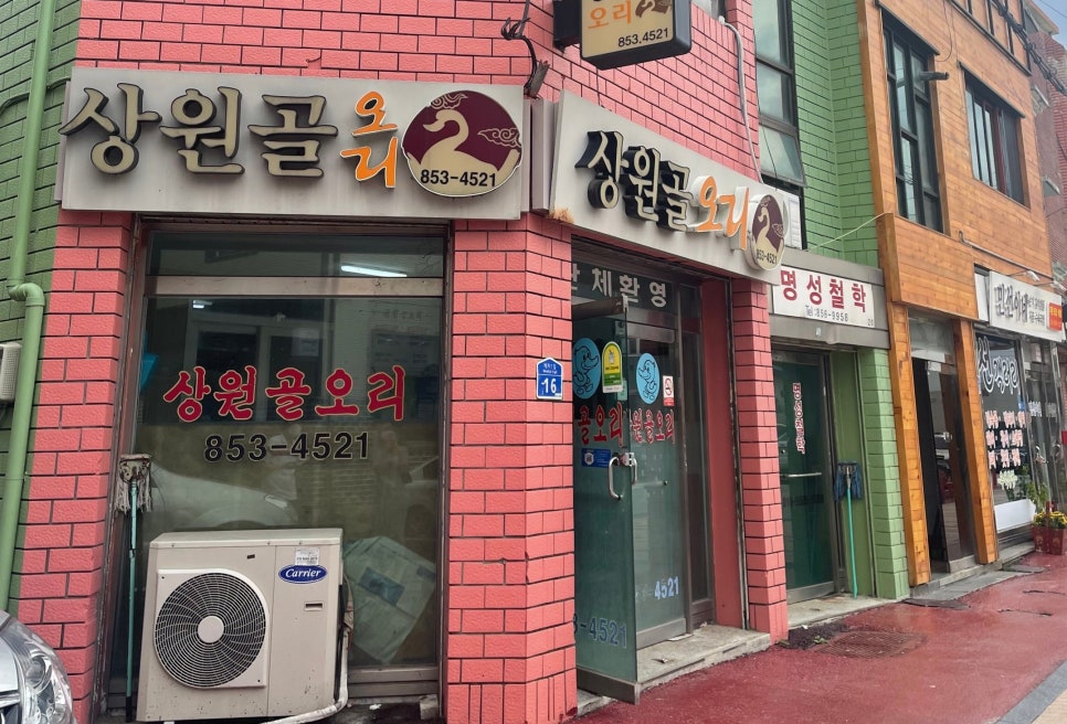 상원골오리 이미지