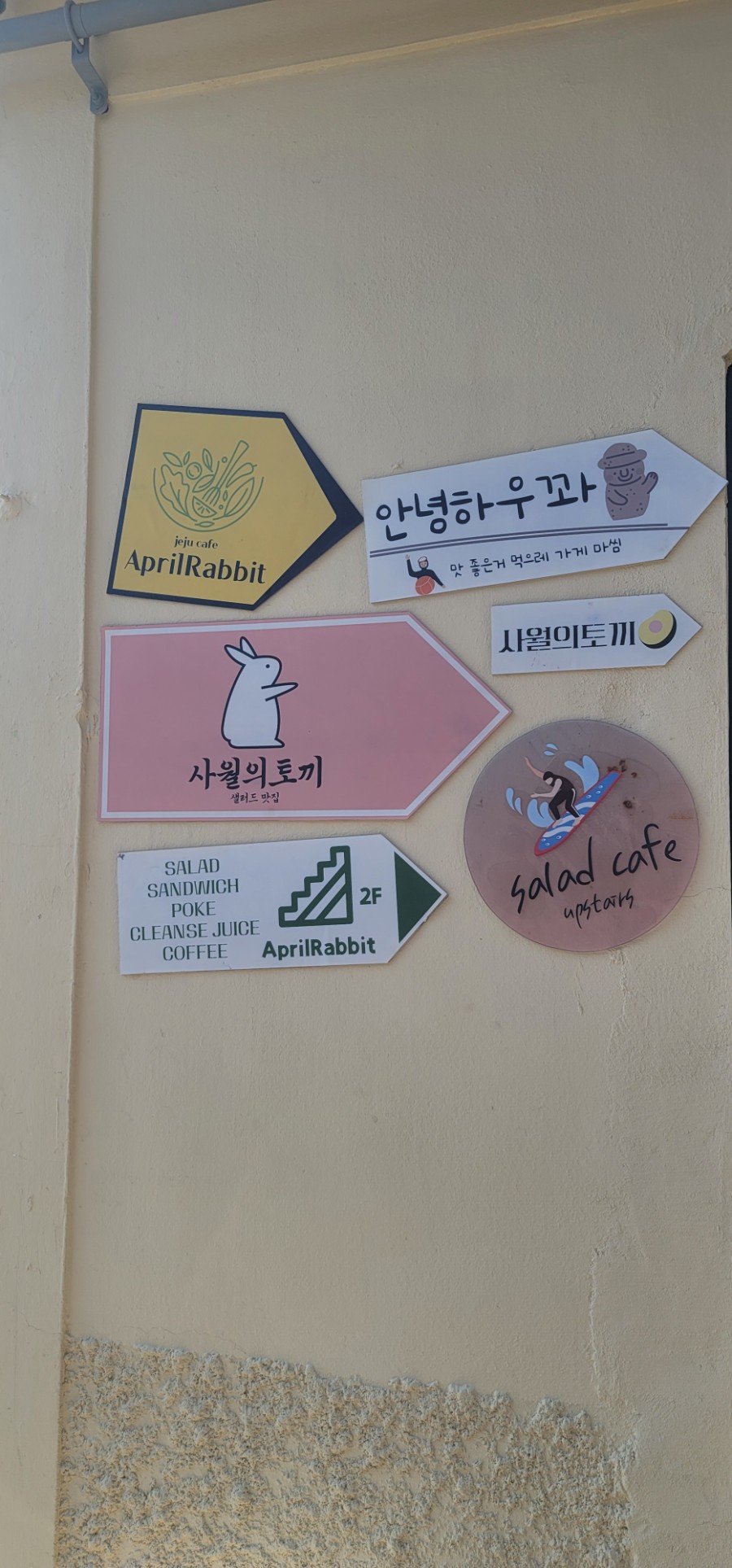 사월의토끼 이미지