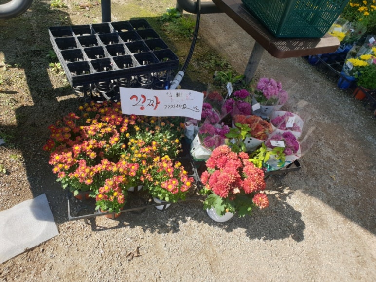 이레꽃화원 이미지