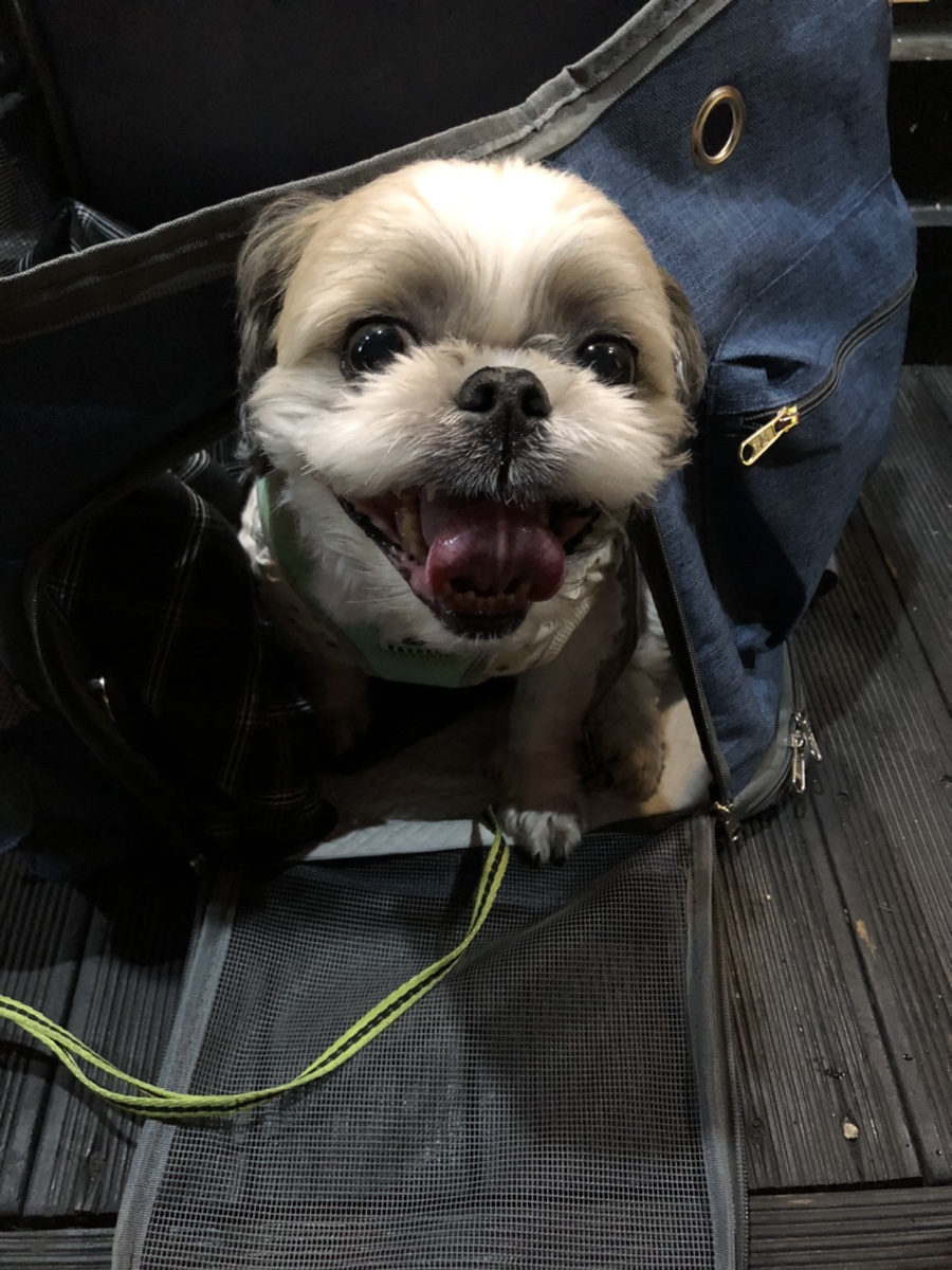 옛날통닭송정점 이미지