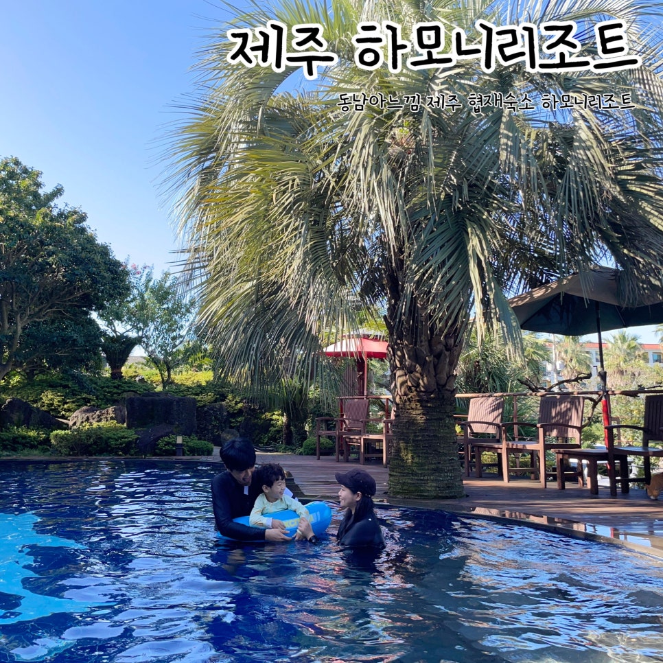 동남아느낌 제주 협재숙소 하모니리조트 : 네이버 블로그
