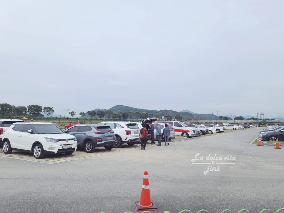 장성 농협주유소 이미지