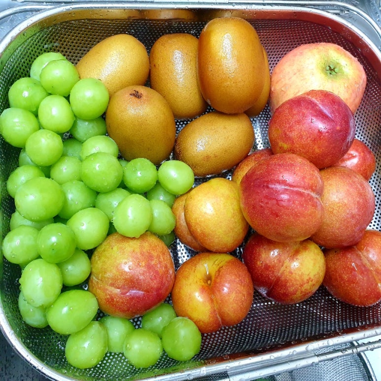 삼촌이모과일 이미지