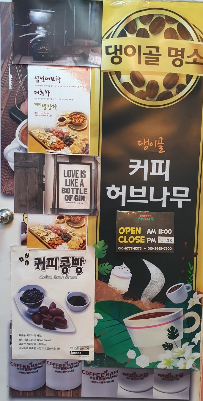 커피허브나무 이미지