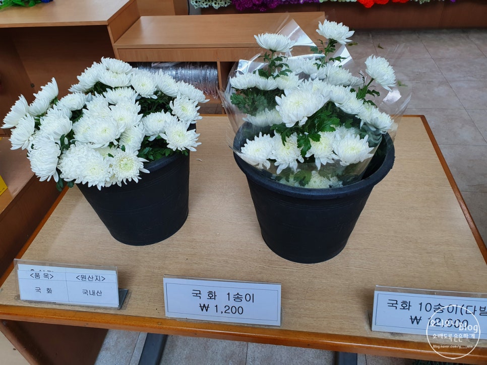보훈매점 이미지