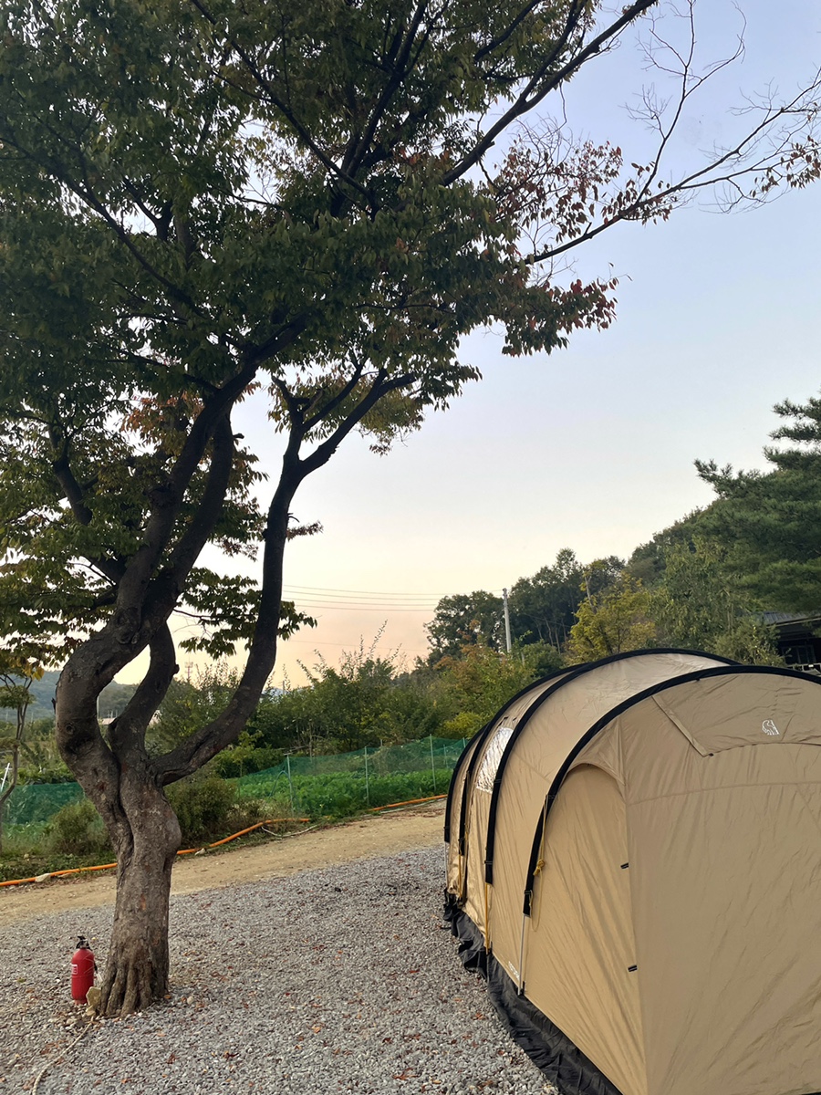 천안OK캠핑 이미지