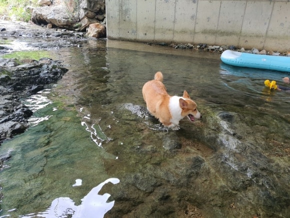 천태산오토캠핑장 이미지
