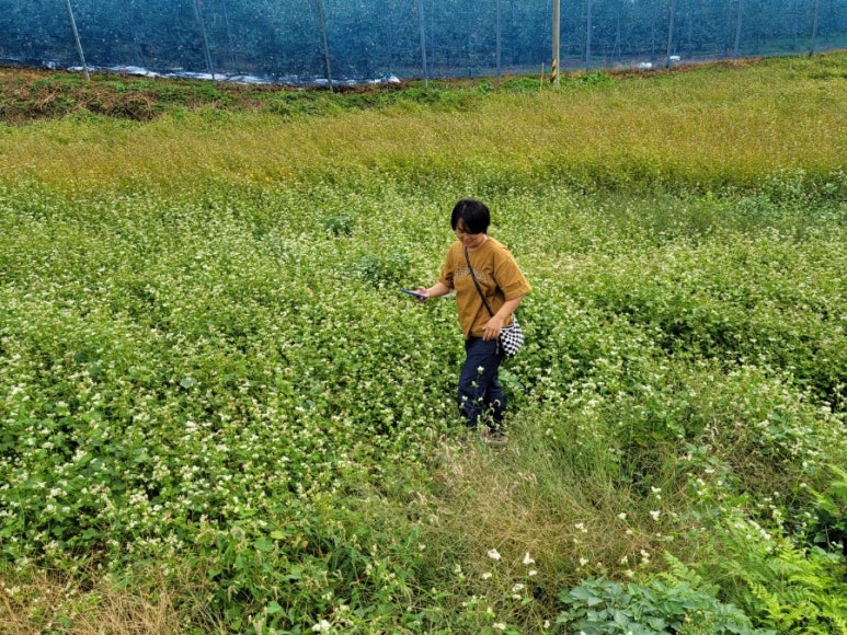 밀꽃이야기 이미지