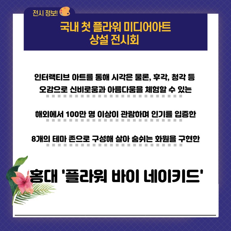 케이앤플라워 이미지