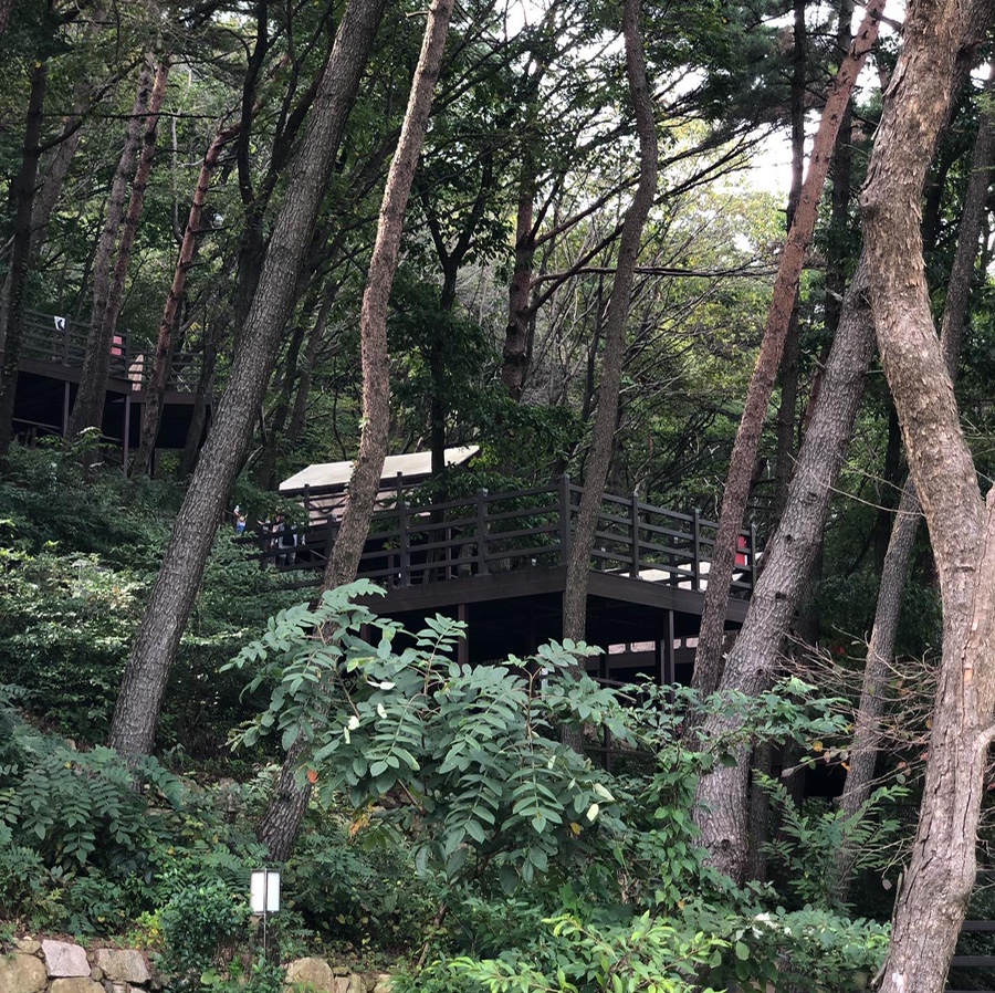 (주)신어산 자연숲캠핑장 이미지