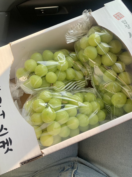 마고농원 이미지