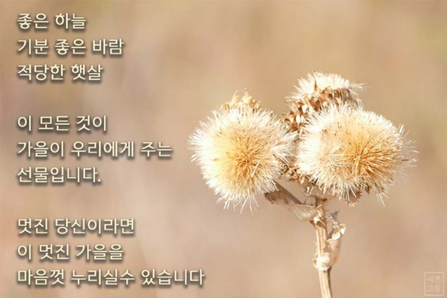 미소열쇠 이미지
