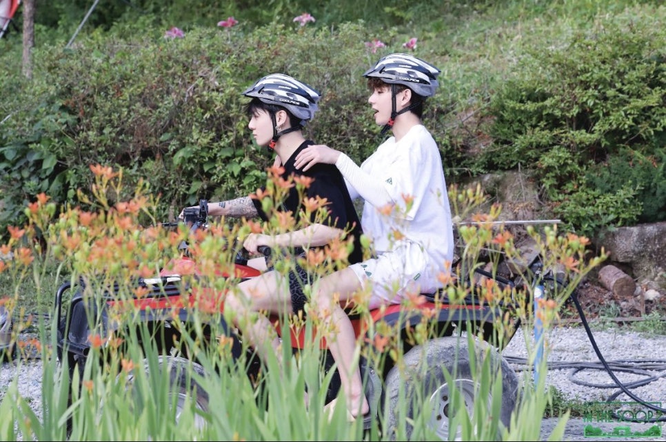 인더시즌 이미지